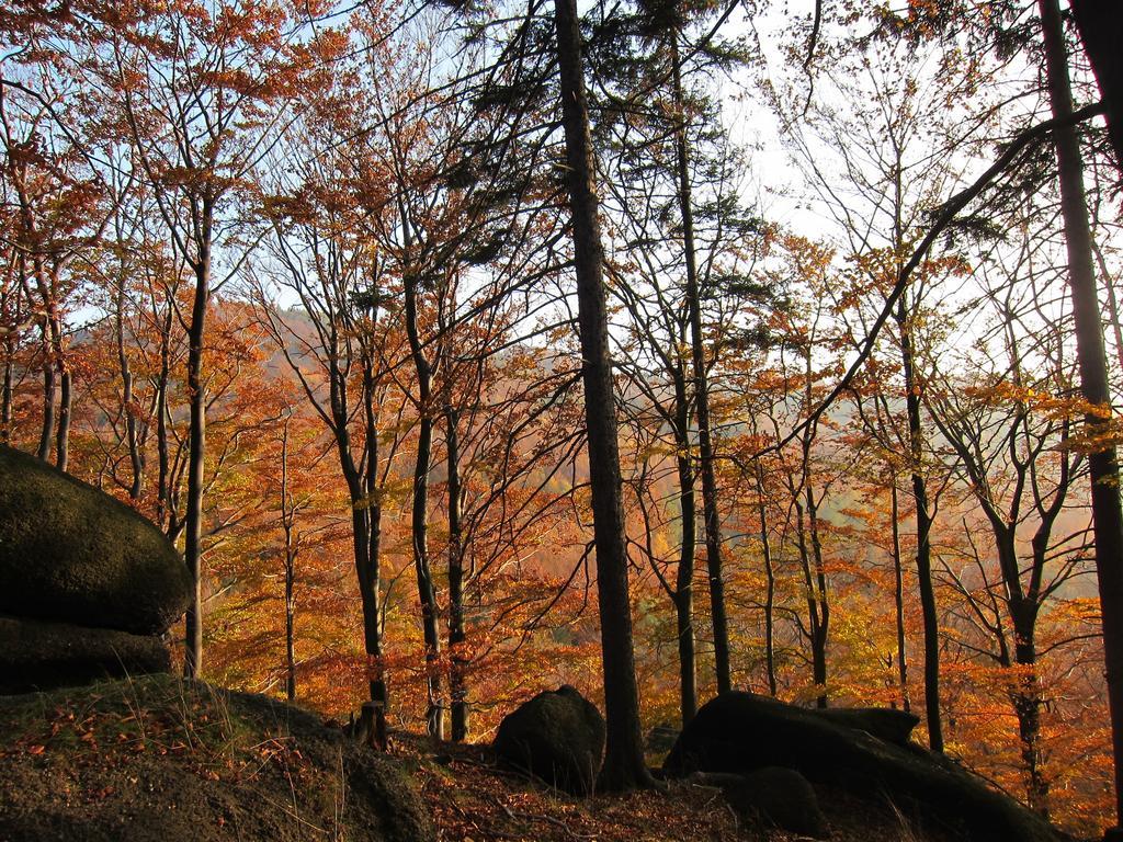 Penzion Bazalka Jablonec nad Nisou Exterior photo